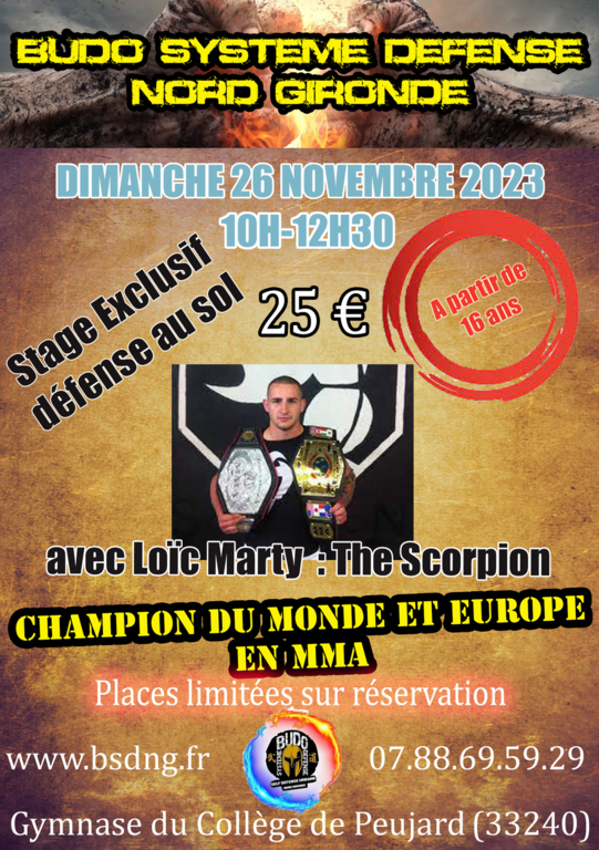 Stage MMA du 26/11/2023 avec Loïc MARTY
